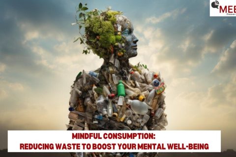 Mindful Consumption